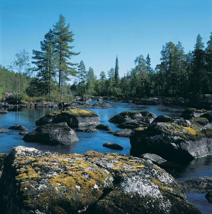 Rezervațiile naționale kareliene, rezervațiile naturale din Karelia