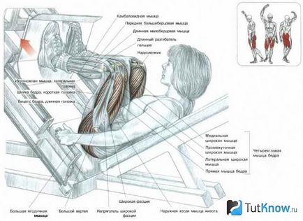 Lovitura de picioare în exercițiu și exercițiu