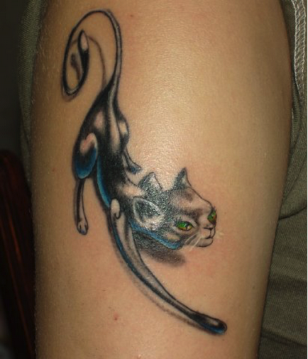 Înțeles tattoo (tattoo) cat