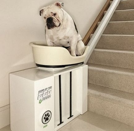 10 szétfűrészeléshez Kutyák 2. rész, a különböző tervezési (zuhany kutyák) 10 Gadgets for Dogs 2. rész, a tervezési diverzitás