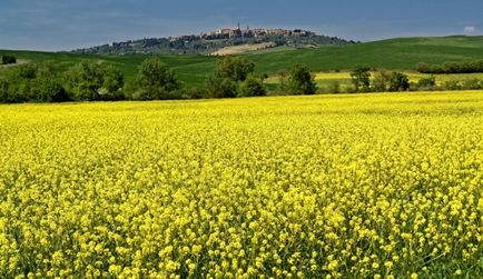 10 Кращих місць, де можна спостерігати за зірками - статті - арріво