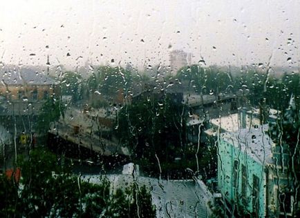 20 Фактів про дощ - фактрум