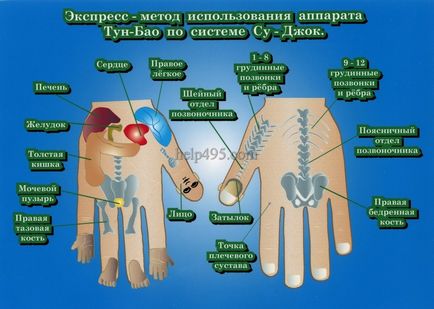 Акулайф Тяньши (Акулайф) проводить діагностику і лікування