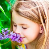 Reacții alergice la plantele cu flori - medicul dvs. aibolit