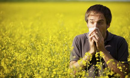 Az allergiás nátha és az asztma