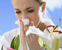 Alergia - o clinică aclorală