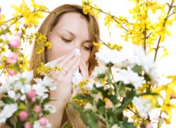 Алергія на цвітіння