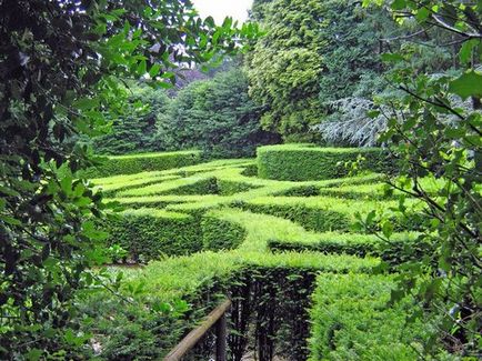 Англійська сад на ділянці біля дачі своїми руками фото і відео