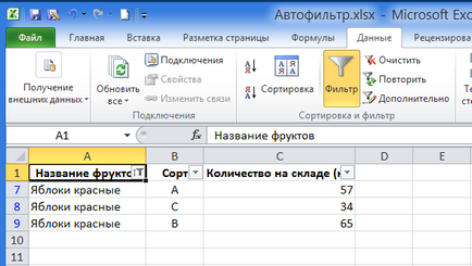 AutoFilter în Excel 2010