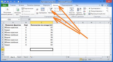 AutoFilter în Excel 2010