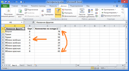 AutoFilter în Excel 2010