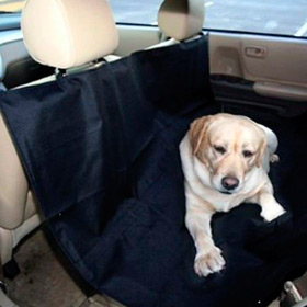 Avtogamak 1990 rubelt! Azt jelenti, a szállítás során a kutyák az autóban!