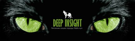 Банний день для мейн-куна, deepinsight