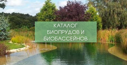 Bioprud și biobasin, ce este?