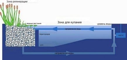 Bioponds - Úszómedencék építési és biobasseynov