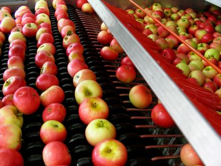 Бізнес-ідея переробка яблук