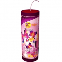 Buchet de focuri de artificii de mireasa 19 salve nu este disponibil pc709 - arhiva articolelor - focuri de artificii si saluturi