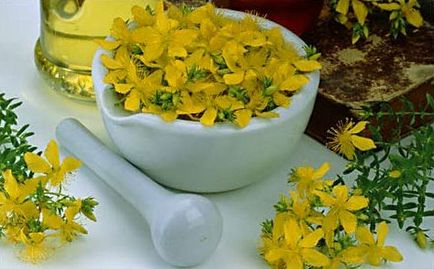 A gyógyító tulajdonságait Hypericum perforatum, alkalmazás (gyógyító) A gyógyító tulajdonságait Hypericum perforatum, alkalmazás