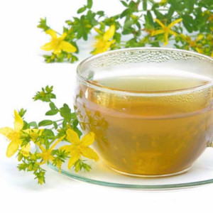 A gyógyító tulajdonságait Hypericum perforatum, alkalmazás (tulajdonságok) A gyógyító tulajdonságait Hypericum perforatum, alkalmazás