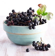 Chokeberry ashberry compoziție, proprietăți utile și tratament (rețete populare)