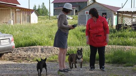 Chindogu - școală de formare pentru câini