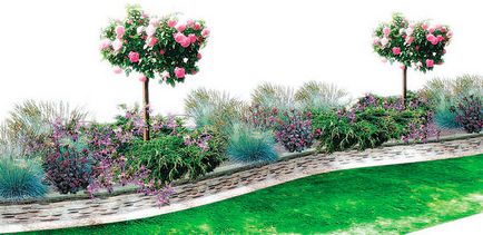 Citiți trandafiri în designul grădinii dvs. - tadeusz yulia evgenievna - pagina 4