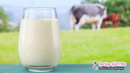 Hogy lehet sült savanyú tej receptek kifinomult és finom pékáru (receptek) Hogy lehet sült savanyú tej receptek kifinomult és finom pékáru