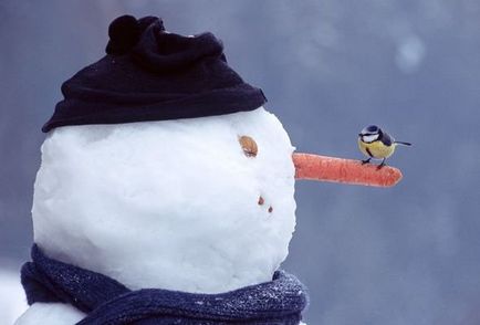 Що сніговик символізував в минулому, пізнавальні та цікаві фотографії прикольні картинки