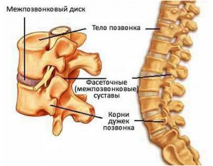 Care este discoteca coloanei vertebrale și cum să o tratezi?