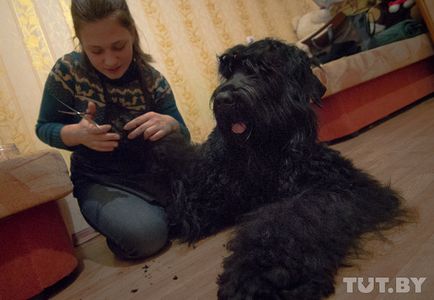 Дівчина, яка стриже собак щоб повернути пса, господиня відзвітувала мені про доходи