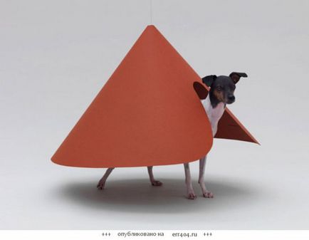 Mobilier de designer pentru câini, proiect open source