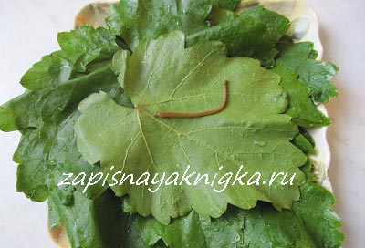 Dolma recept szőlő és káposztalevél