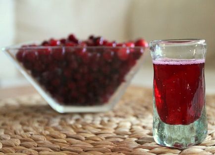Főoldal infúziós Cranberry - 4 egyszerű recept vodka és az alkohol