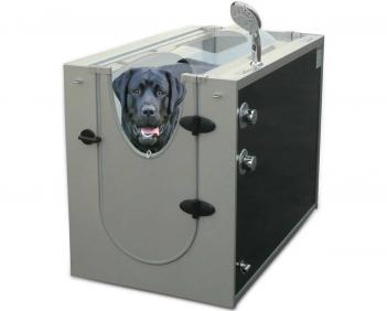 Cabină de duș pentru un câine ca un obiect neobișnuit pentru afaceri