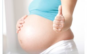 Два жовтих тіла в різних яєчниках або в одному при вагітності і ймовірність многоплодного зачаття