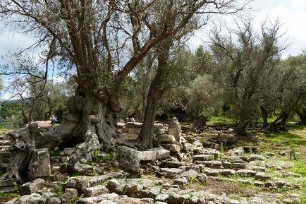 Kirándulások Rethymno Kréta (fotó) a legnépszerűbb útvonalakat és átlagára