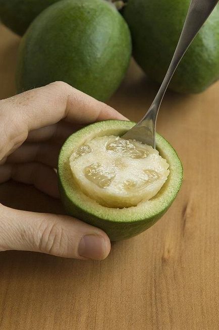 Feijoa cum se utilizează în scopuri medicinale și proprietăți utile