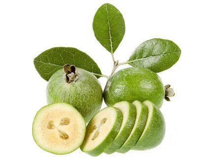 Feijoa cum se utilizează în scopuri medicinale și proprietăți utile