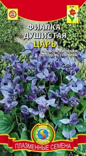 Фіалка запашна цар - інтернет-магазин відмінні насіння