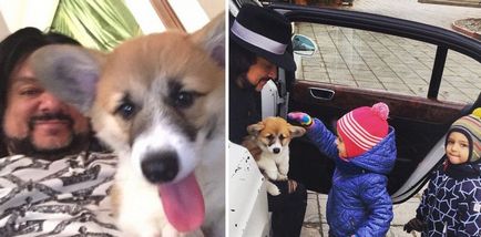 Philip Kirkorov a început un câine de la o familie de stele, de dragul copiilor săi