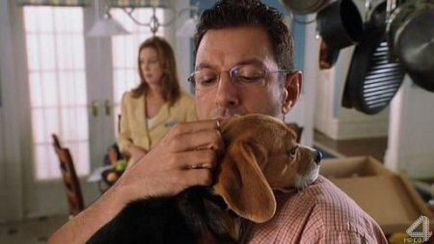Kutyák és macskák film (2001) néz online