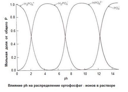 Фосфор і калій в грунті і в рослинах, сучасне сільське господарство для професіоналів