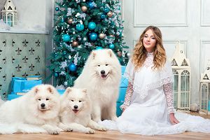 Photoshoot cu câine la Moscova - prețurile pentru fotografierea câinilor de la agenția photorepublic