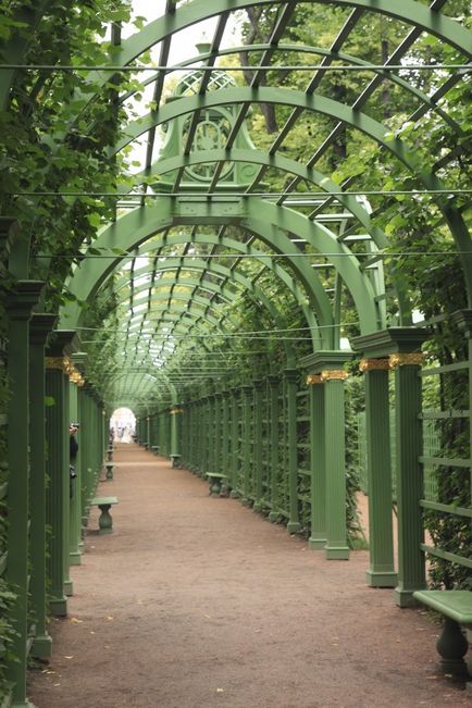 Photoshoot în grădina de vară din Sankt Petersburg