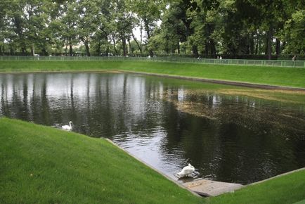 Photoshoot în grădina de vară din Sankt Petersburg