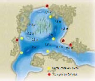 Головень, водоналивний поплавок, хрущ і інші насадки, рибалка