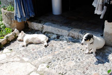 Orașul unei străzi Saint-Pol-de-Vence