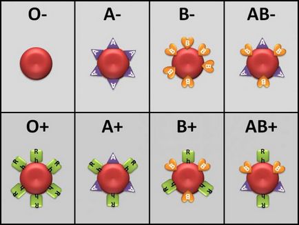 Групи крові схема переливання крові, резус-фактор