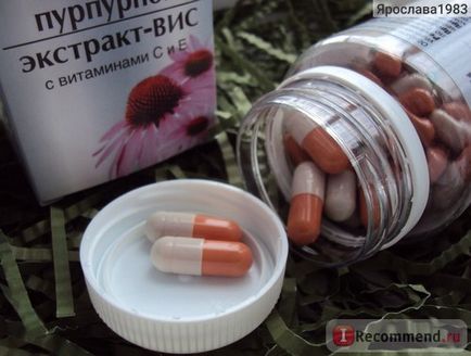 Agent imunomodulator panda Echinacea purpurea extract cu vitamine c și c -