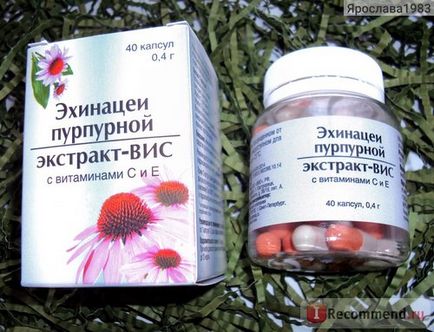 Agent imunomodulator panda Echinacea purpurea extract cu vitamine c și c -